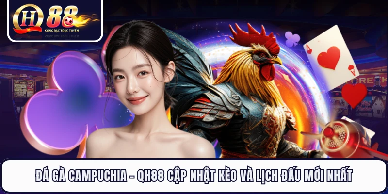 Đá Gà Campuchia - QH88 Cập Nhật Kèo Và Lịch Đấu Mới Nhất