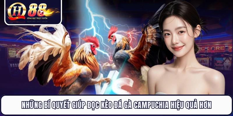 Những bí quyết giúp đọc kèo đá gà Campuchia hiệu quả hơn