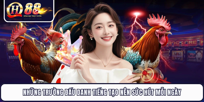 Những trường đấu danh tiếng tạo nên sức hút mỗi ngày